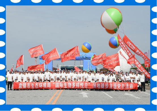 盘锦市生态环境局“国际生物多样性日”湿地徒步主题党日活动